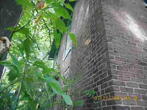 3315 Cortland (9)_m.jpg